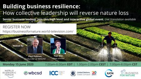 Building business resilience: How collective leadership will reverse nature loss