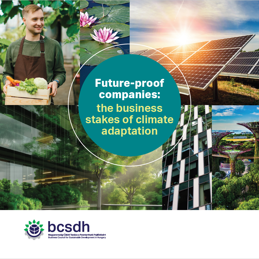 Kiadvány 2025_fedlap ENG