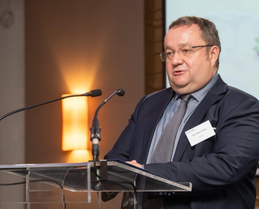 Nagy Z.Laszlo nagyzl@nagyzl.hu