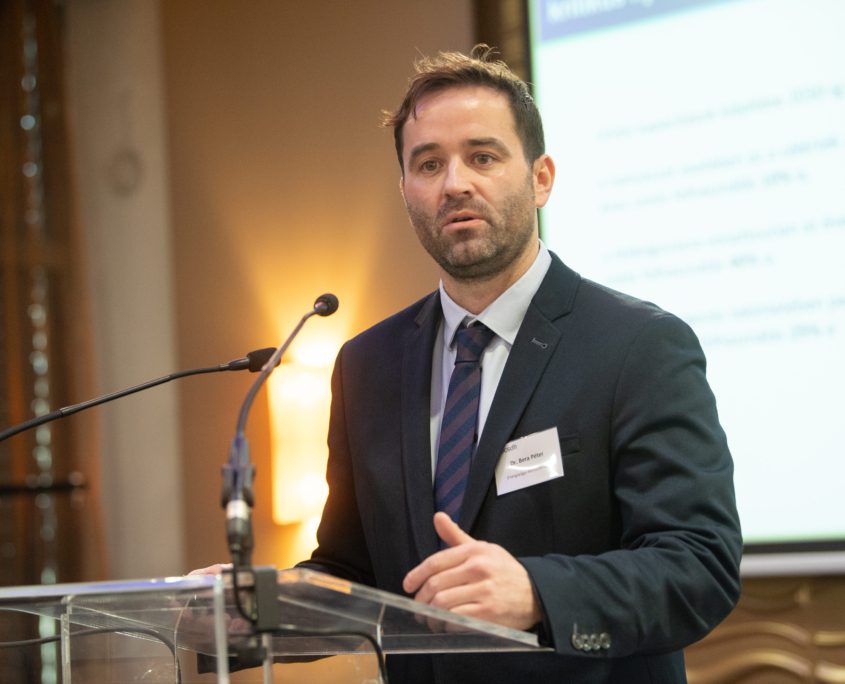 Nagy Z.Laszlo nagyzl@nagyzl.hu