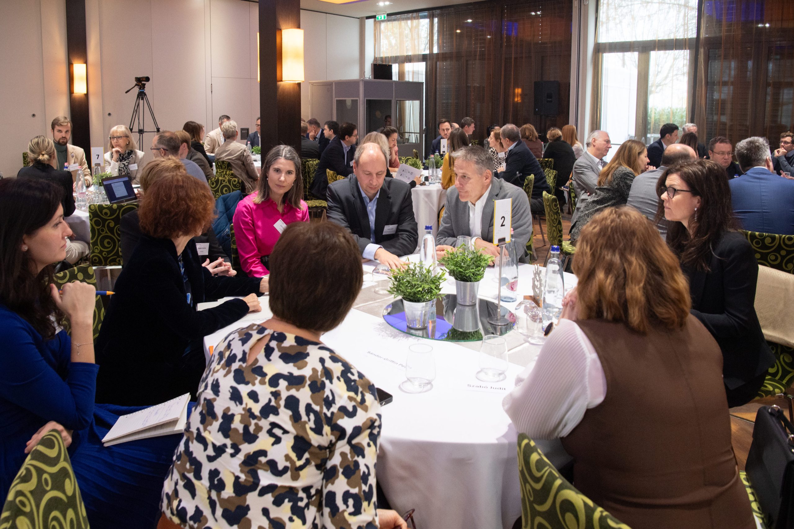 Nagy Z.Laszlo nagyzl@nagyzl.hu