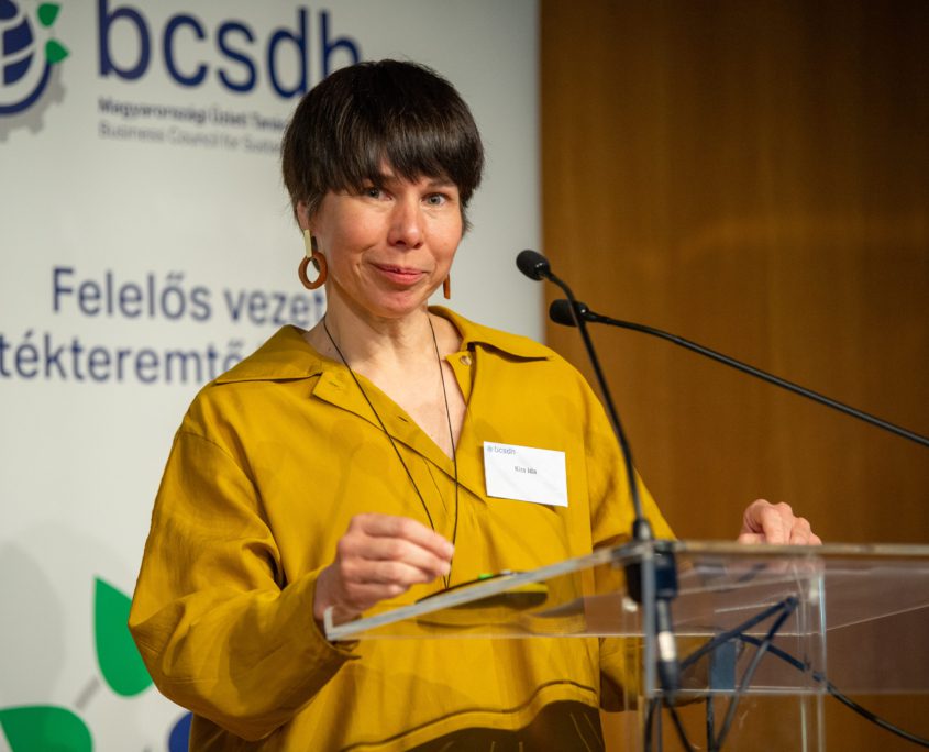 Nagy Z.Laszlo nagyzl@nagyzl.hu